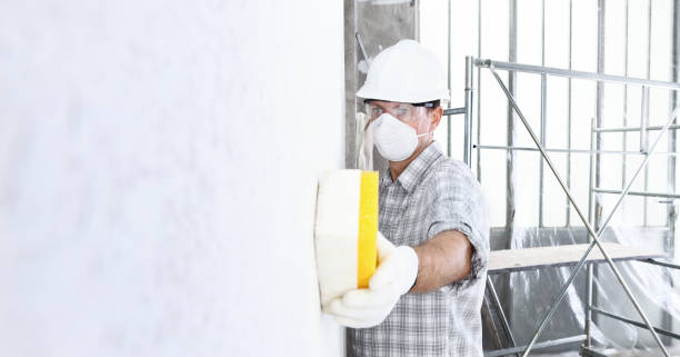 Trusted East Bronson, FL Mold Removal Services Experts